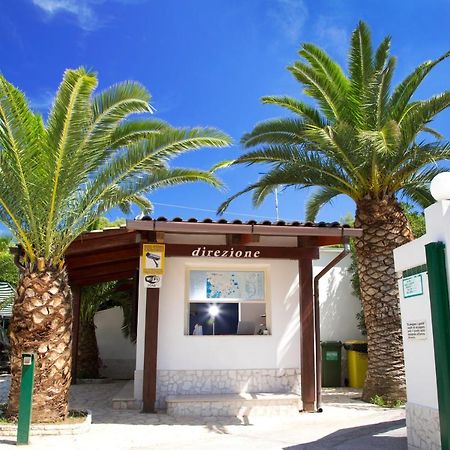 Residence La Conchiglia Vieste Extérieur photo